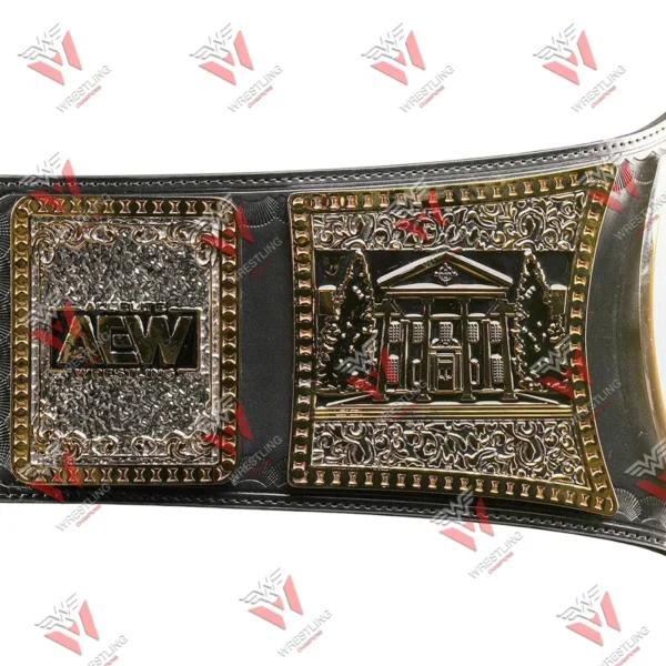 AEW TNT Championship Black Leather Wrestling Title Belt