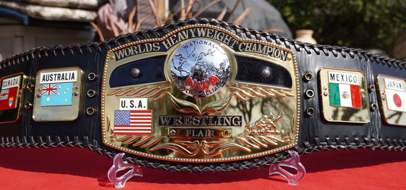 Collecting NWA Wrestling Championship Belts: A Passion for Wrestling ...