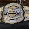 Replica Championship Belts
