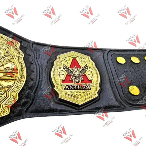 New TNA World Heavyweight Championship Wrestling Replica Title Belt