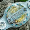 Fate-of-Championship-Belts