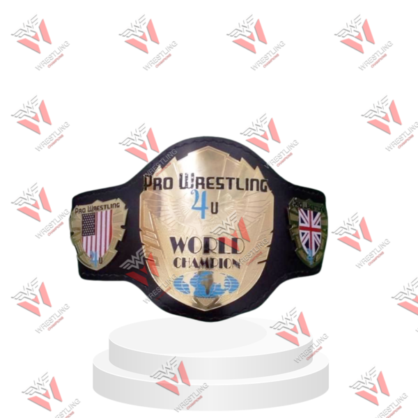 Pro Wrestling 4U World Championship Wrestling Title Belt
