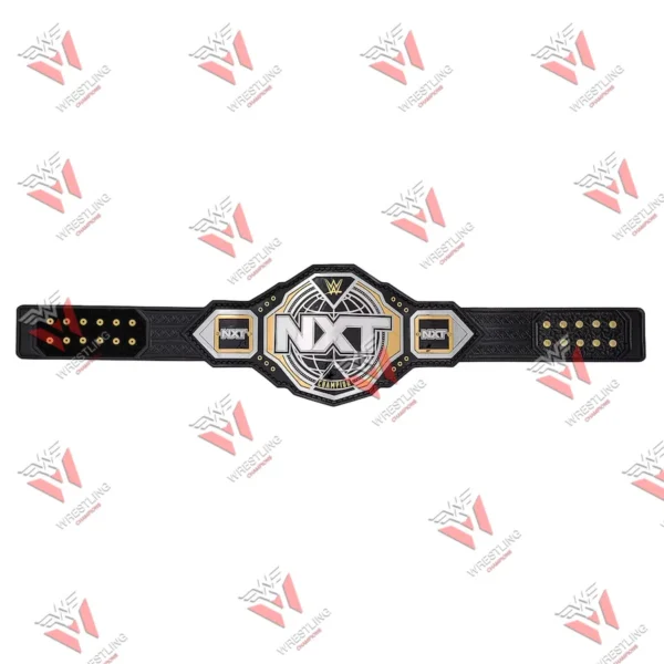 NXT 2024 Wrestling Championship Title New Belt