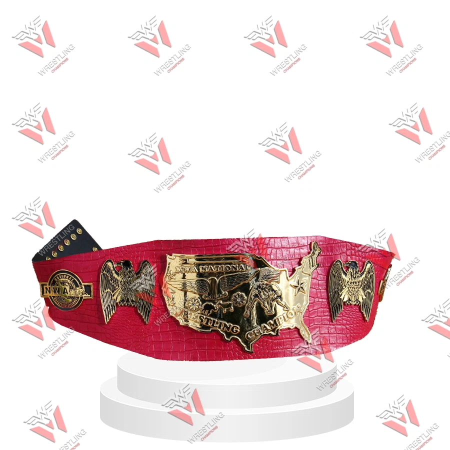 NWA Old School World Heavyweight Championship Wrestling Belt Title