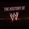 WWE Wrestling Belts History (1963–2026): World Wrestling Champions & Custom Wrestling Belts